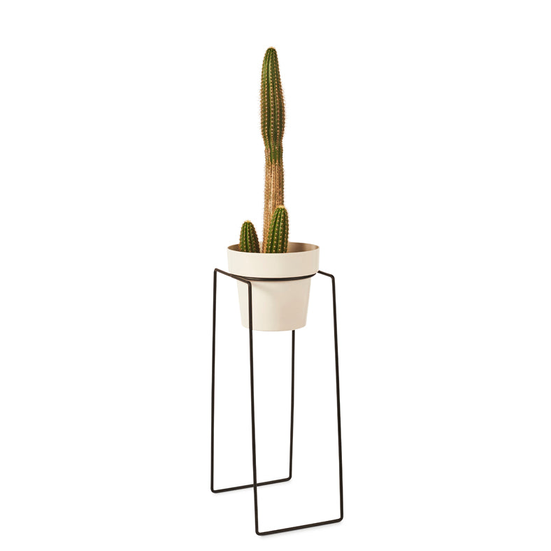 'TALL'  Indoor Plant Stand