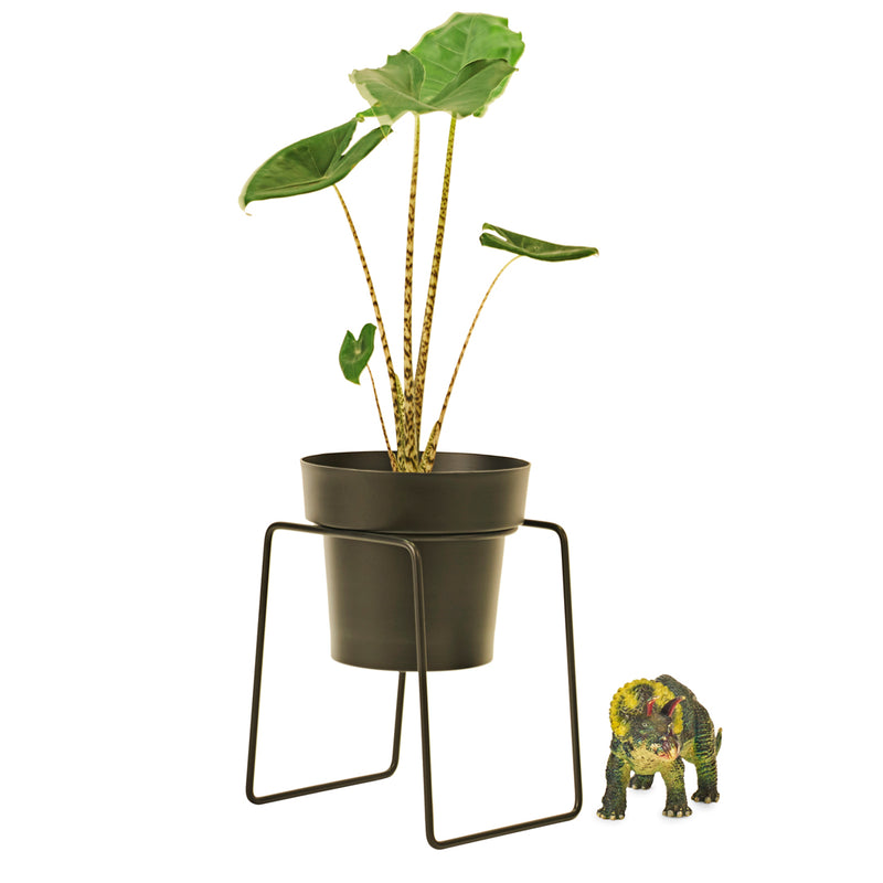 'BUD' Plant Stand