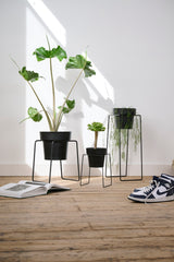 'BUD' Plant Stand