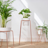 'TALL'  Indoor Plant Stand