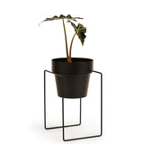 'SHRUB'  Plant Stand Mini