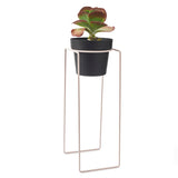 'TALL' Indoor Plant Stand & Medium Pot Bundle