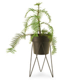 'PLANT' Indoor Plant Stand & Medium Pot Bundle