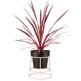 'POTPLANT' Double Sided Indoor Plant Stand