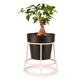 'POTPLANT' Indoor Plant Stand & Medium Pot Bundle