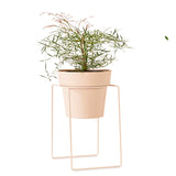 'SHRUB' Plant Stand Mini & Small Pot Bundle