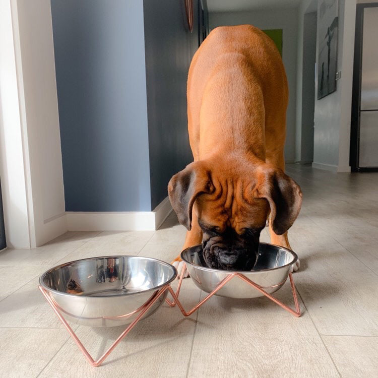 'WOOF WOOF' Double dog bowl -  MIX 'n' MATCH